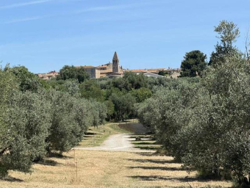 Huis in Magliano in Toscana
