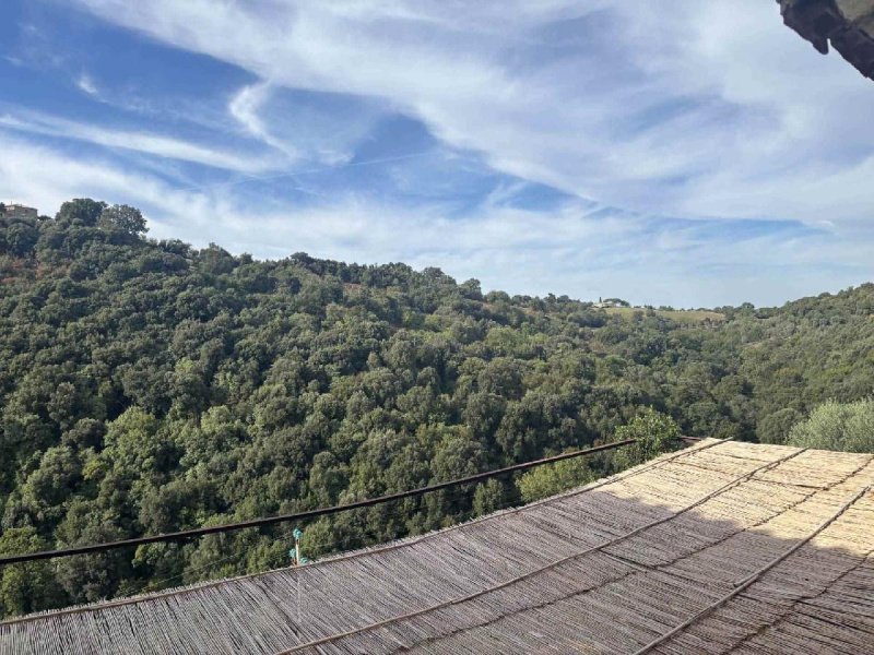 Apartamento en Magliano in Toscana