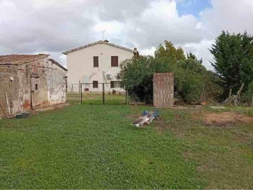 Ferme à Magliano in Toscana