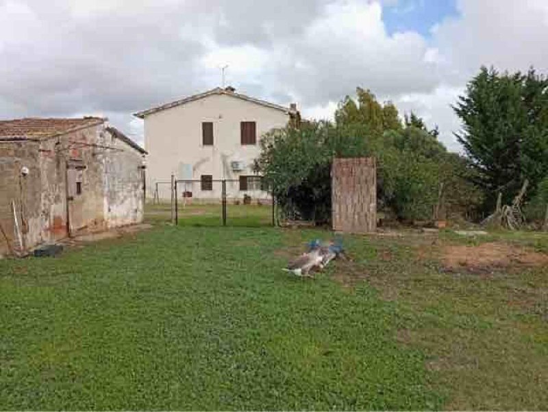 Ferme à Magliano in Toscana