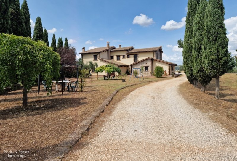 Landwirtschaftlicher Betrieb in Narni