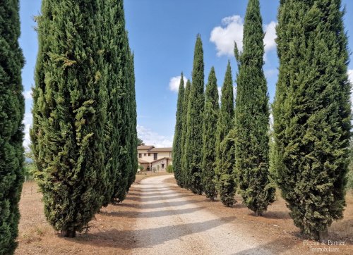 Farm in Narni