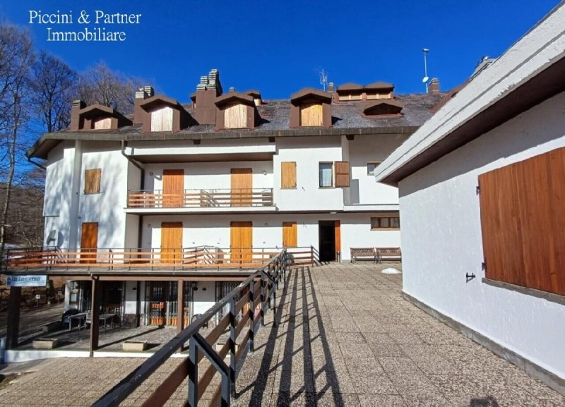 Apartment in Seggiano