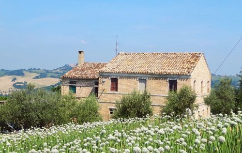 Klein huisje op het platteland in Cupra Marittima