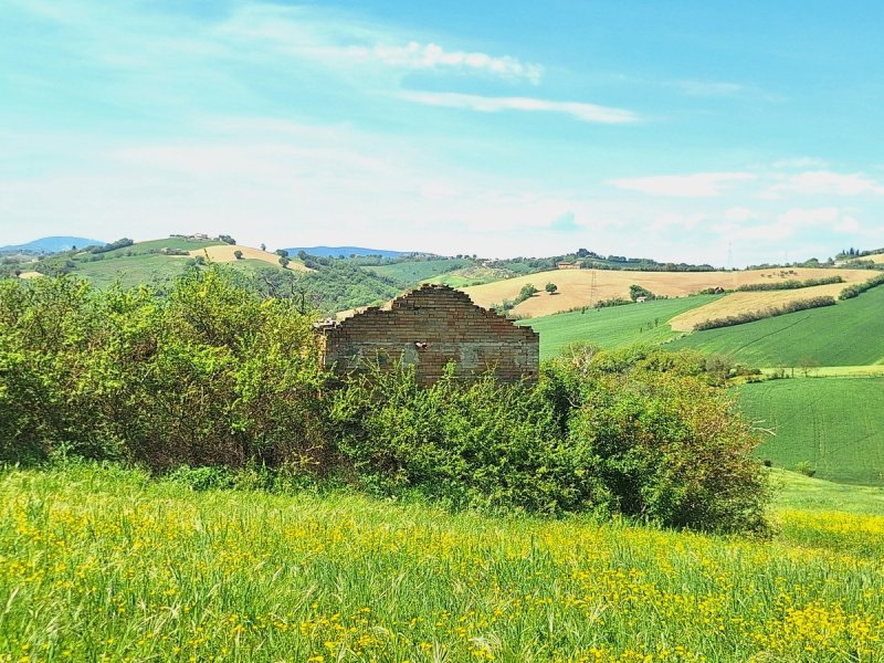 Huis op het platteland in Terre Roveresche