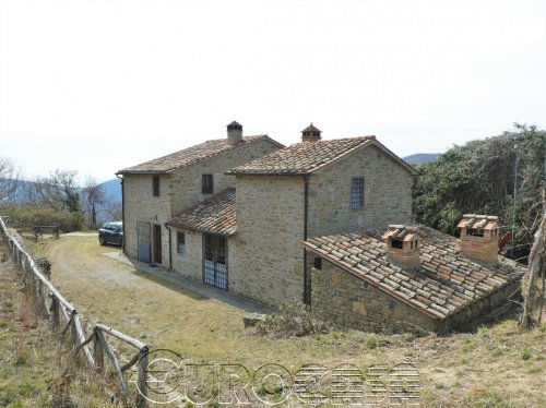Farmhouse in Cortona