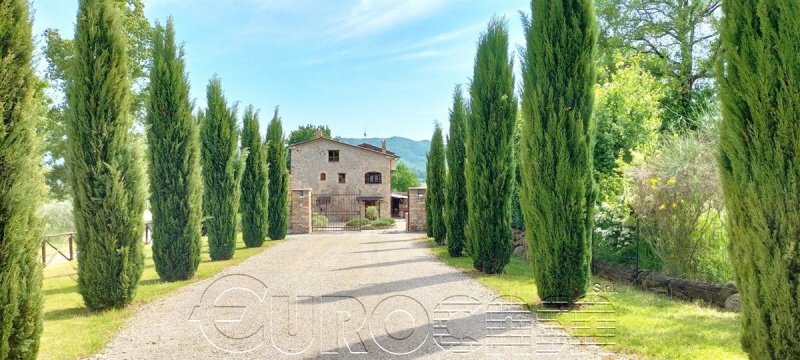 Ferme à Città di Castello