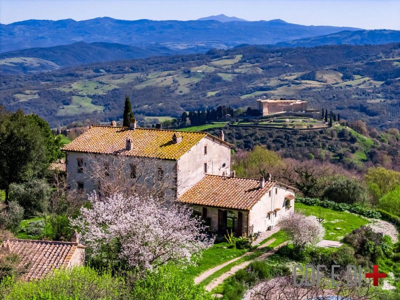 Farmhouse in Scansano