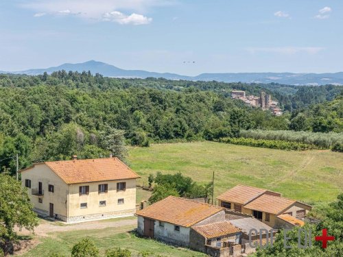 Farmhouse in Sorano