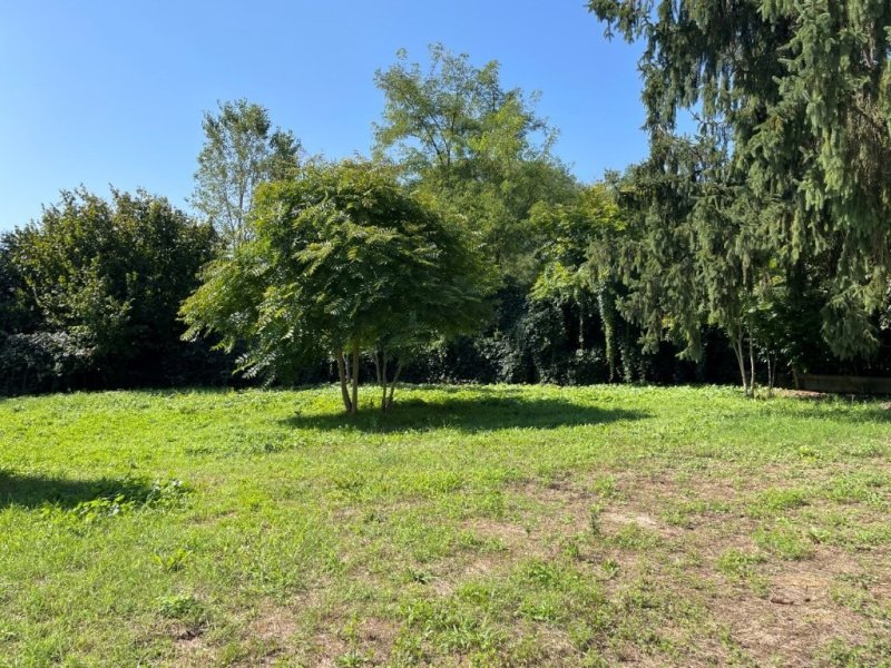 Сельский дом в Кастельнуово-Бельбо