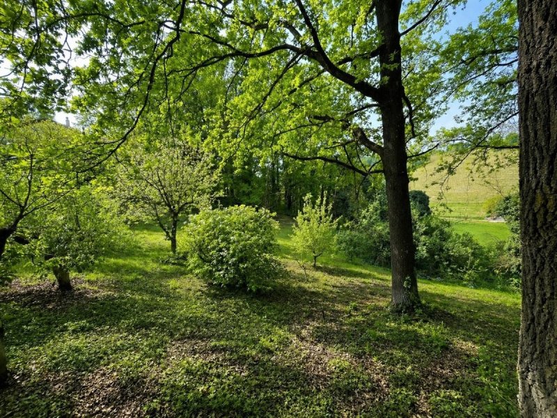 Country house in Incisa Scapaccino