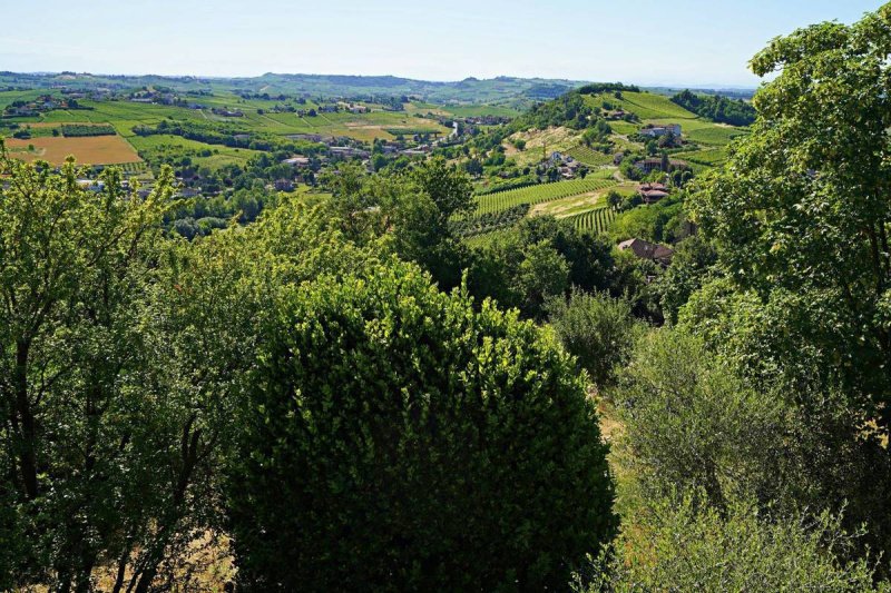 Einfamilienhaus in San Marzano Oliveto