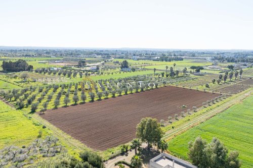 Quinta agrícola em Melissano