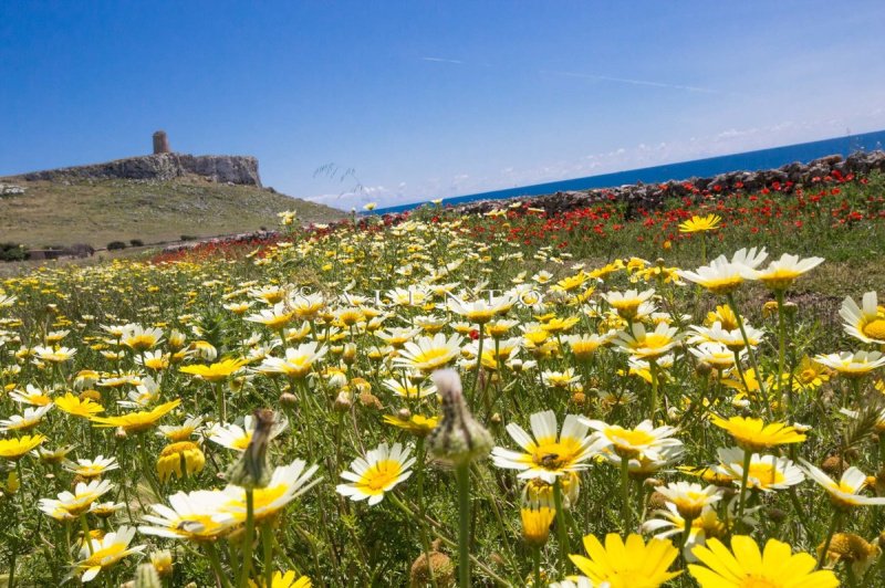 Villa a Morciano di Leuca