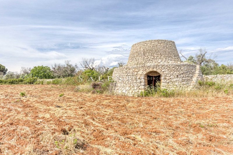 Trulli in Salve