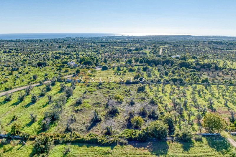 Terreno agrícola en Salve