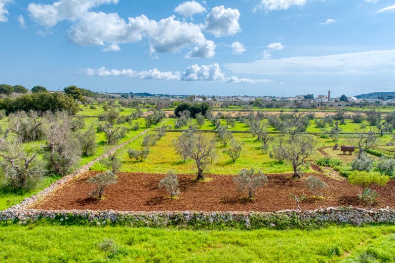 3 Bedrooms Villa for sale in Salve [813527] | Gate-away®