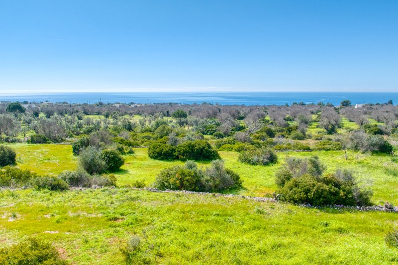 Byggtomt i Castrignano del Capo