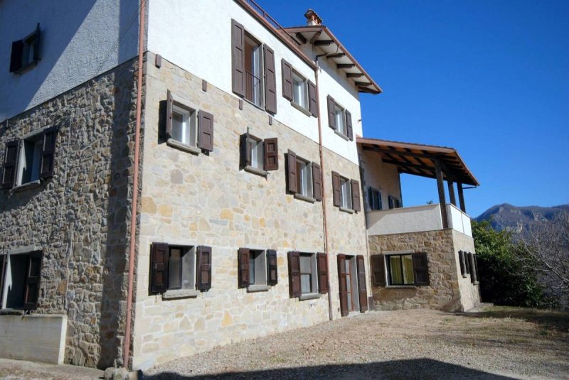 Commercial property in Grizzana Morandi
