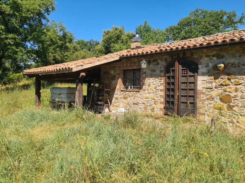 Farmhouse in Manciano
