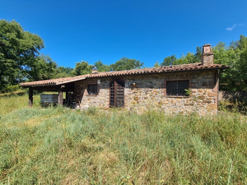 Farmhouse in Manciano
