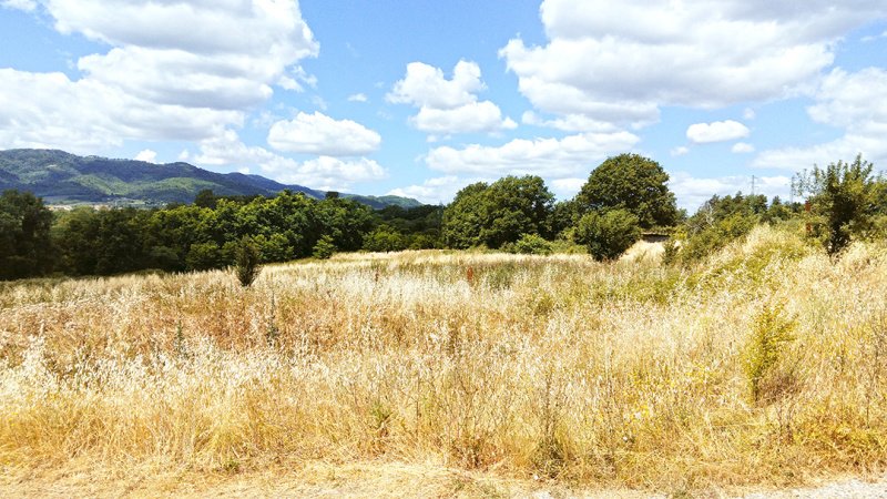 Lantställe i Montevarchi