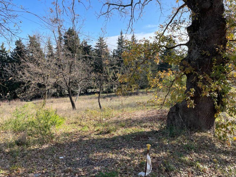 Bouwgrond in Bucchianico