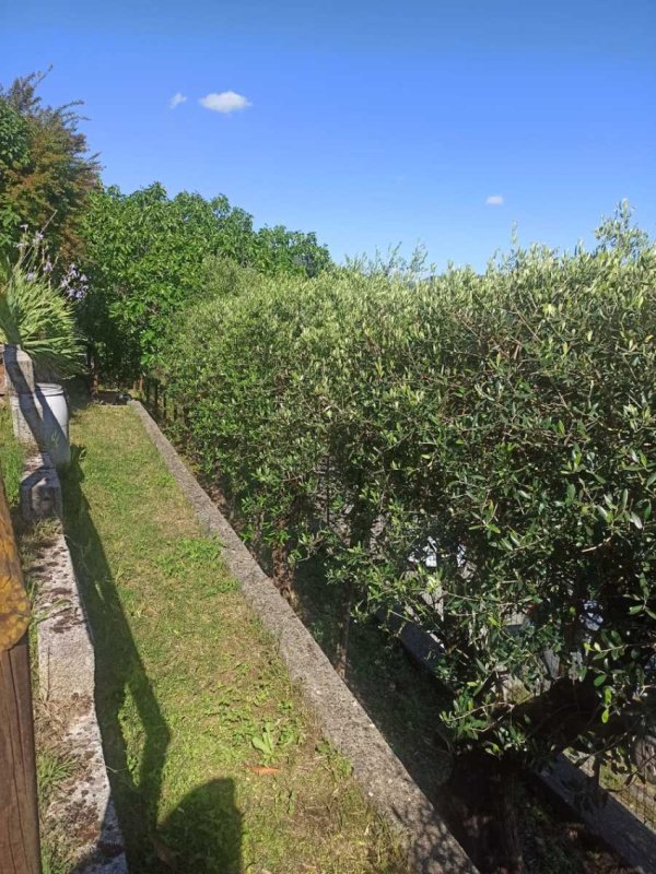 巴尼-迪卢卡房屋