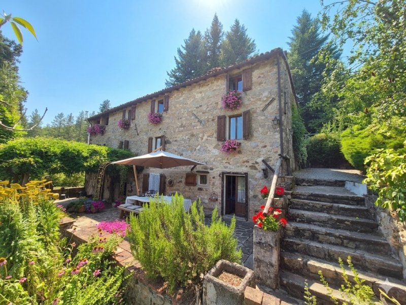Haus in Castelnuovo di Garfagnana