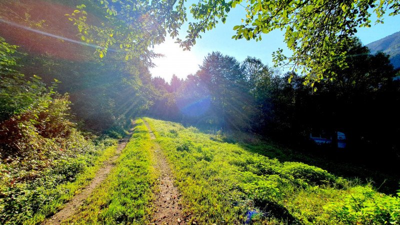 Hus på landet i Tione di Trento