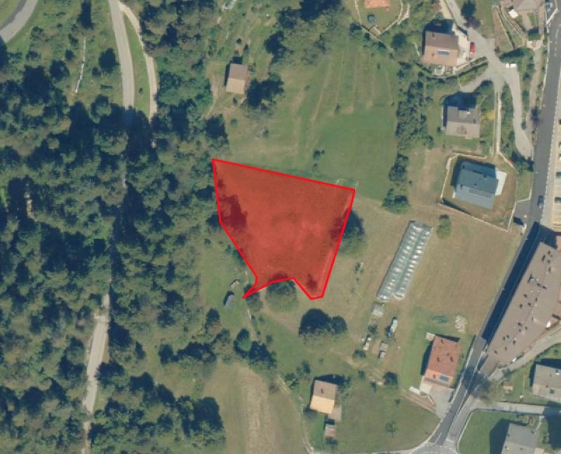 Jordbruksmark i Tione di Trento