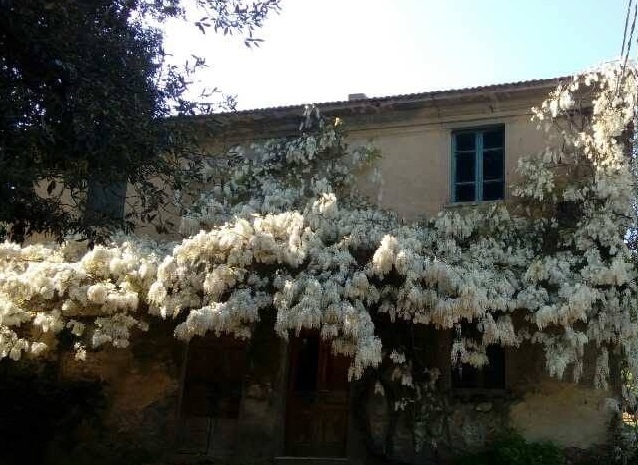 Casa de campo em Casciana Terme Lari