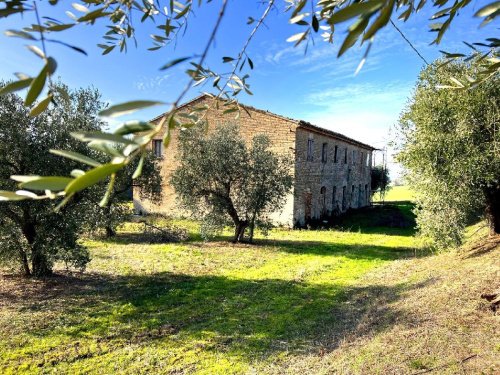 Detached house in San Costanzo
