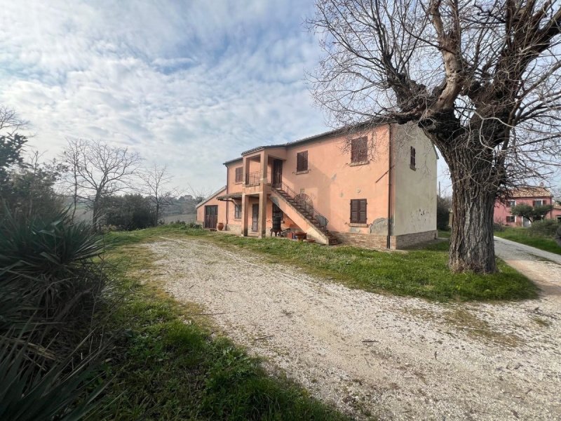 Maison individuelle à San Costanzo