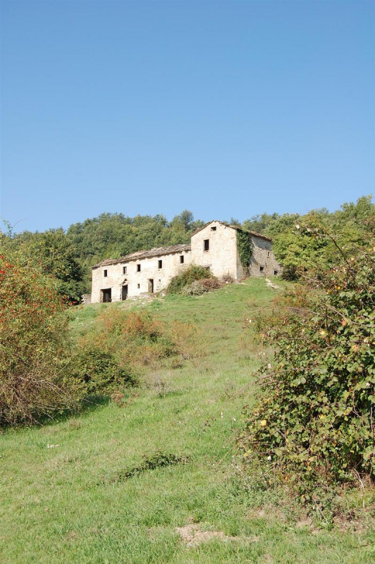 Country house in Premilcuore