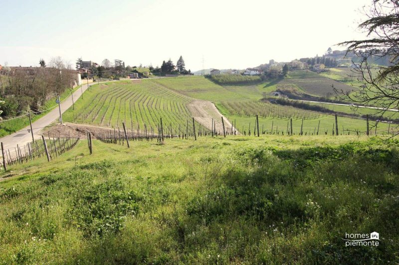 Lantställe i Agliano Terme