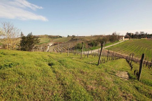 Lantställe i Agliano Terme