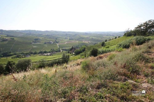 Ferme à Calosso