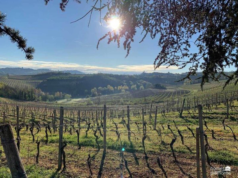 Casa independiente en Nizza Monferrato