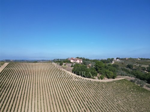 Quinta agrícola em Montespertoli