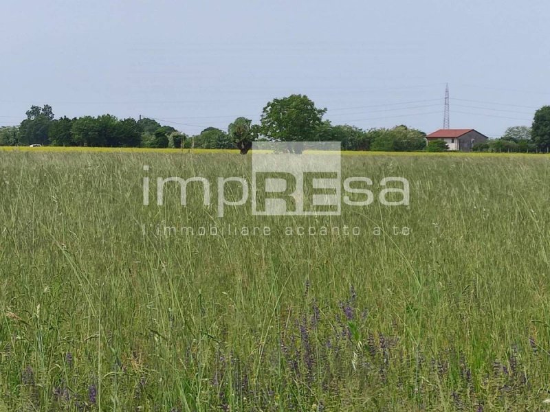 Jordbruksmark i Paese