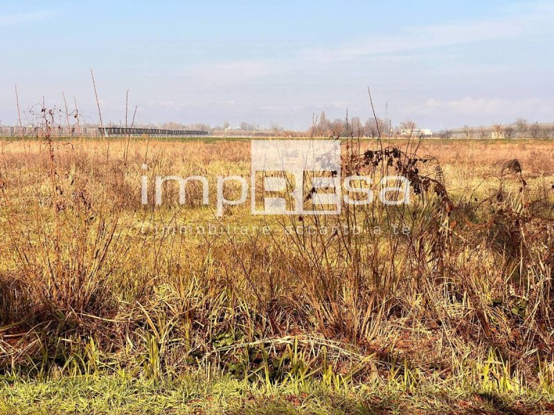 Сельскохозяйственный участок в Маркон