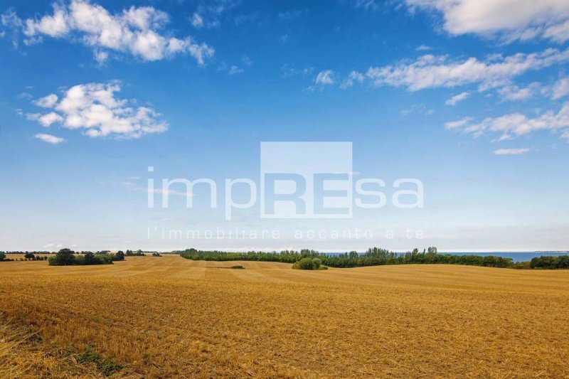Terreno agrícola en Marcon