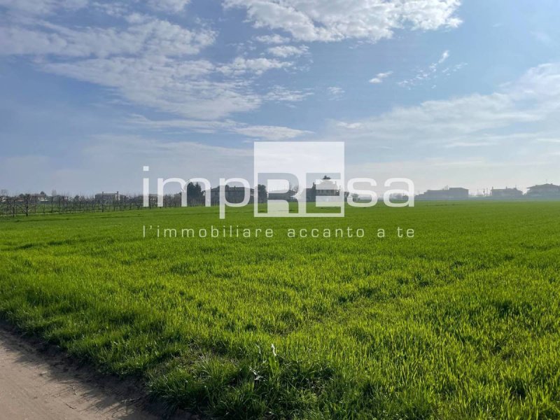 Terreno agrícola em Jesolo