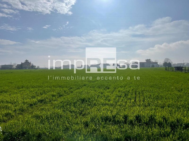 Agricultural land in Jesolo