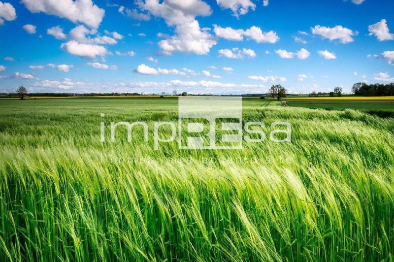 Terreno edificabile a Oderzo