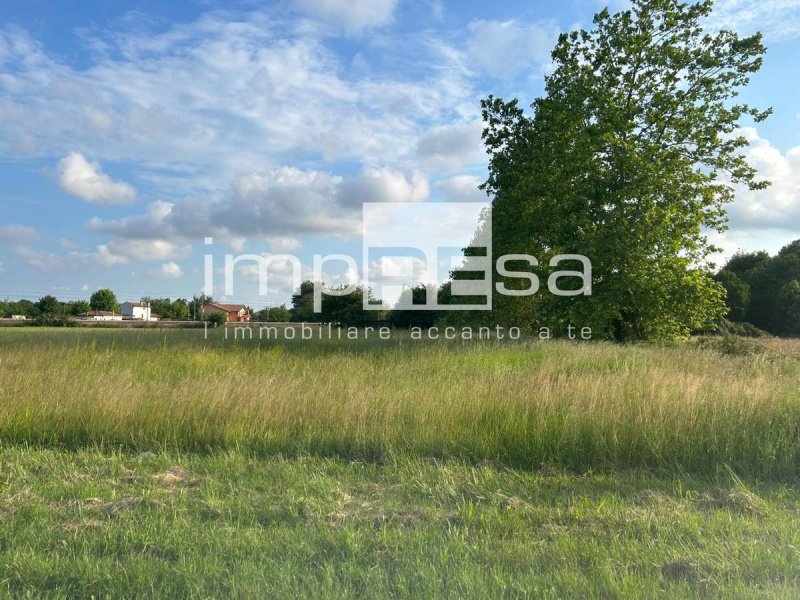 Terreno agrícola en Venecia