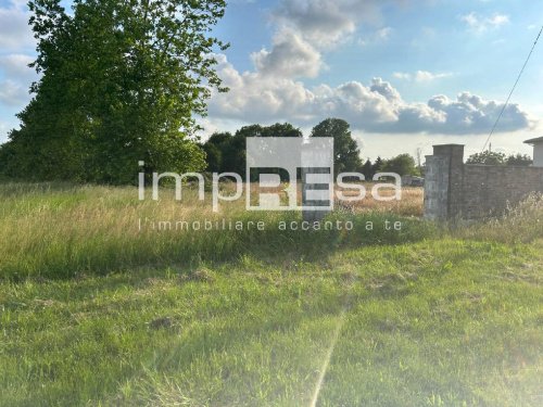 Agricultural land in Venice