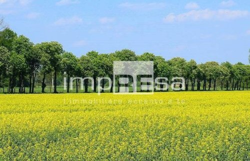 Terreno agricolo a Montebelluna