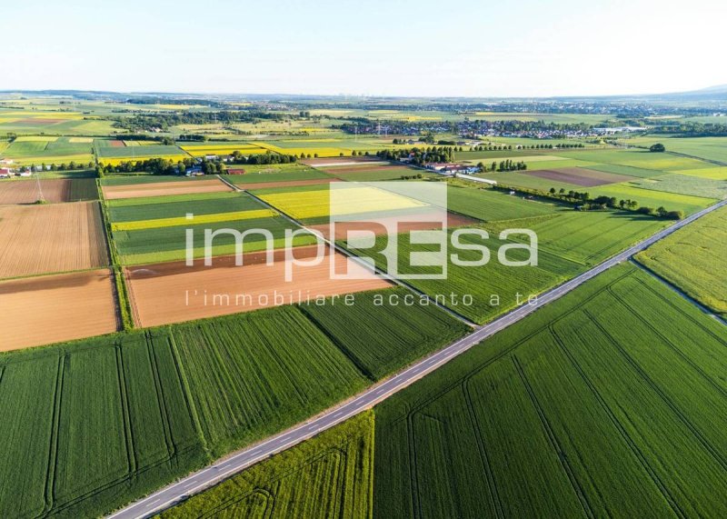 Jordbruksmark i Silea